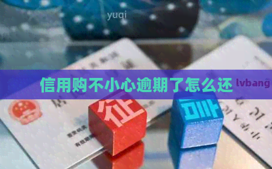 信用购不小心逾期了怎么还