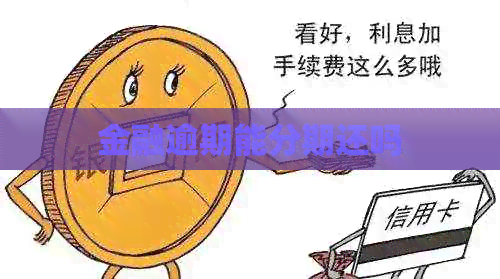 金融逾期能分期还吗