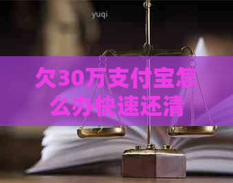 欠30万支付宝怎么办快速还清