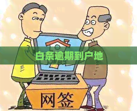 白条逾期到户地