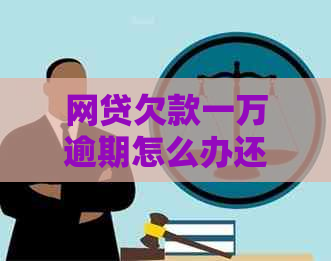 网贷欠款一万逾期怎么办还款方法