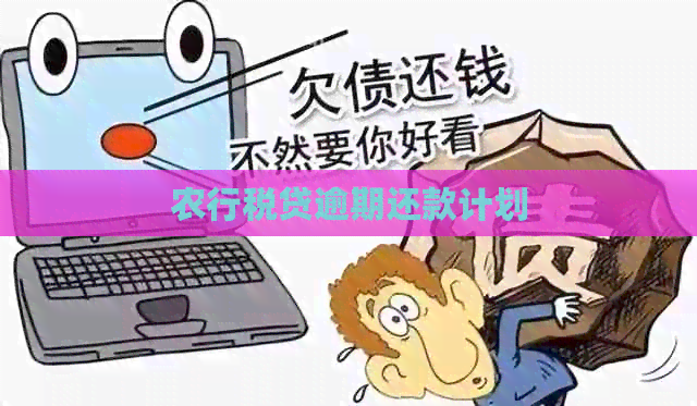农行税贷逾期还款计划