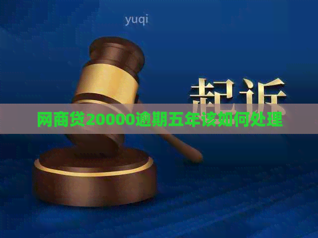 网商贷20000逾期五年该如何处理