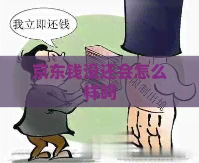 京东钱没还会怎么样吗
