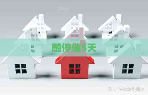 融停催5天