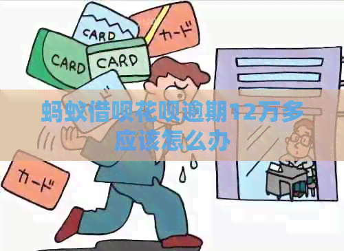 蚂蚁借呗花呗逾期12万多应该怎么办