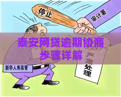 泰安网贷逾期协商步骤详解