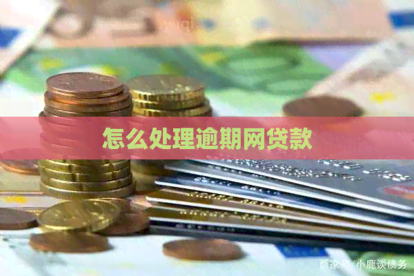 怎么处理逾期网贷款