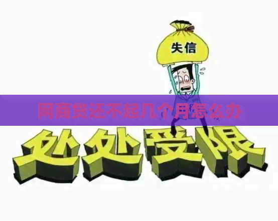 网商贷还不起几个月怎么办