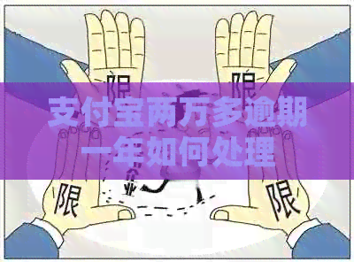 支付宝两万多逾期一年如何处理