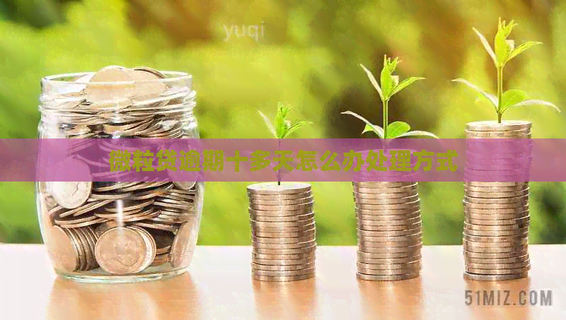 微粒贷逾期十多天怎么办处理方式