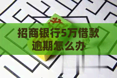 招商银行5万借款逾期怎么办