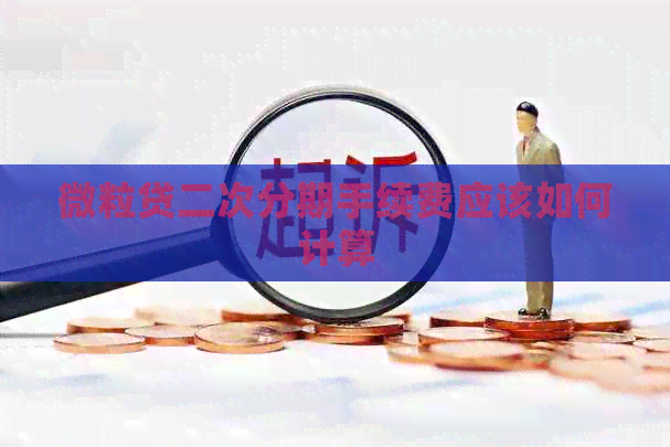 微粒贷二次分期手续费应该如何计算