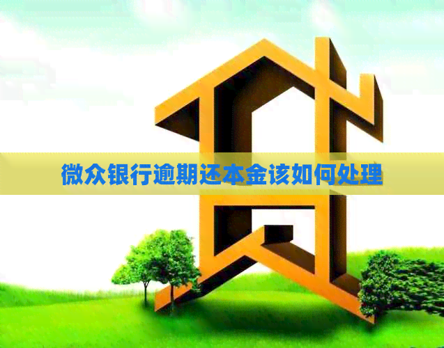 微众银行逾期还本金该如何处理