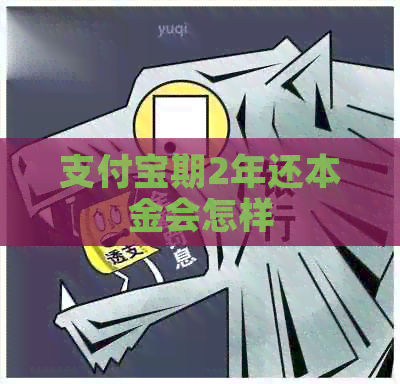 支付宝期2年还本金会怎样
