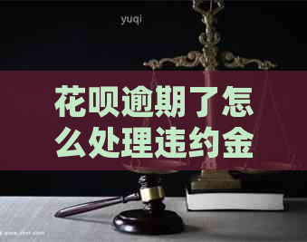 花呗逾期了怎么处理违约金