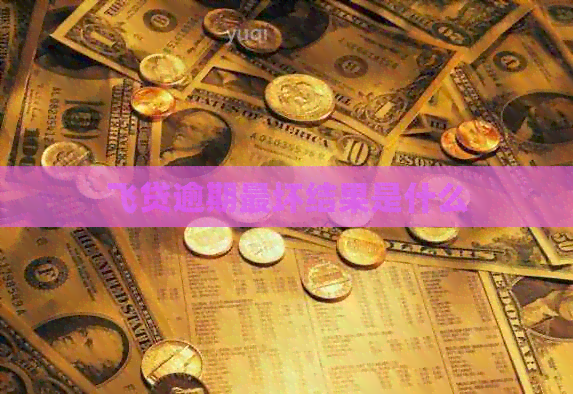 飞贷逾期最坏结果是什么