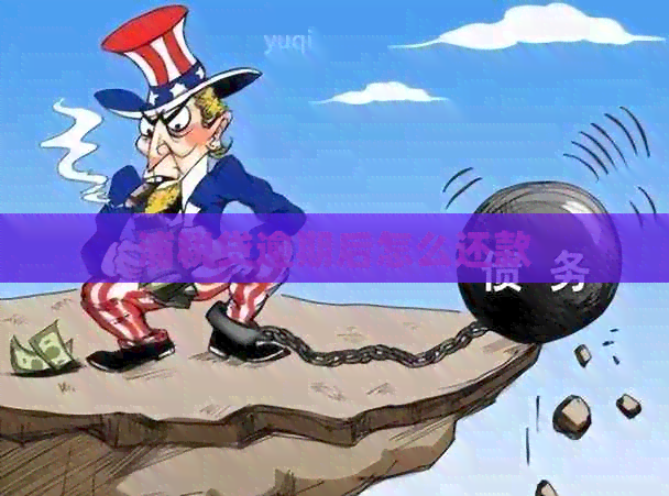 浦税贷逾期后怎么还款