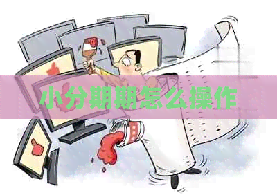 小分期期怎么操作
