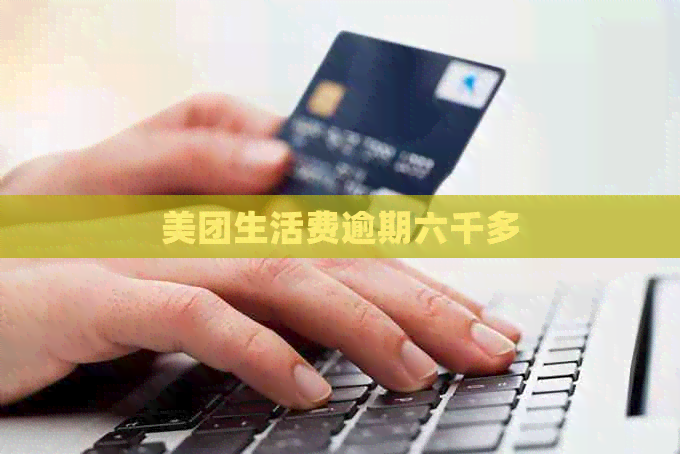 美团生活费逾期六千多