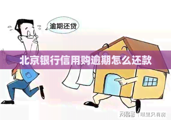 北京银行信用购逾期怎么还款