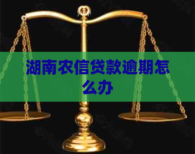 湖南农信贷款逾期怎么办