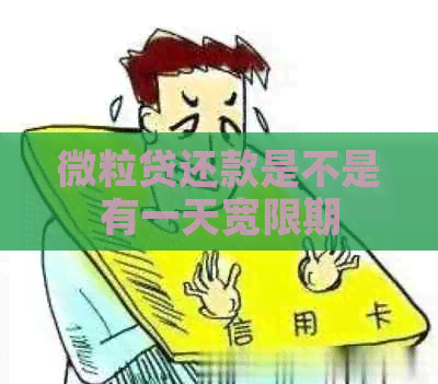 微粒贷还款是不是有一天宽限期