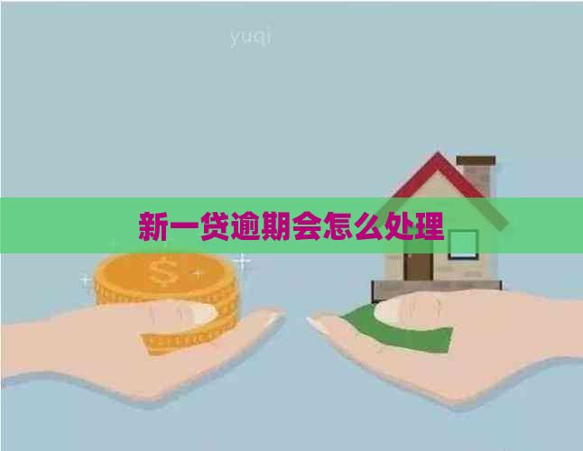 新一贷逾期会怎么处理