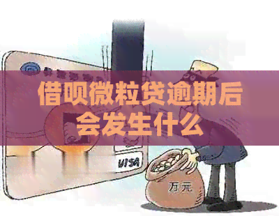 借呗微粒贷逾期后会发生什么
