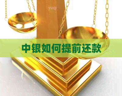 中银如何提前还款