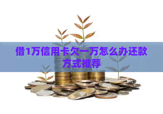 借1万信用卡欠一万怎么办还款方式推荐