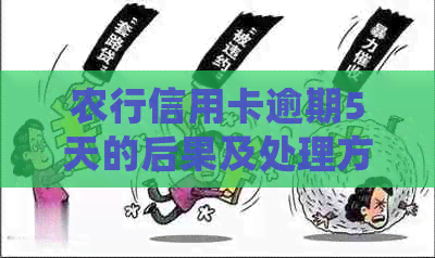 农行信用卡逾期5天的后果及处理方法
