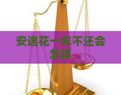 安逸花一年不还会怎样