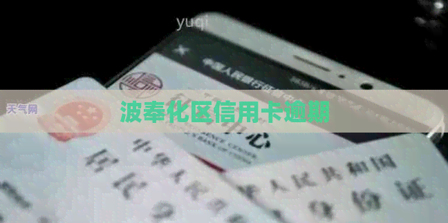 波奉化区信用卡逾期
