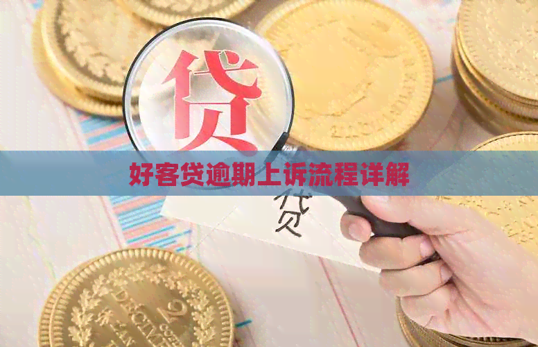 好客贷逾期上诉流程详解