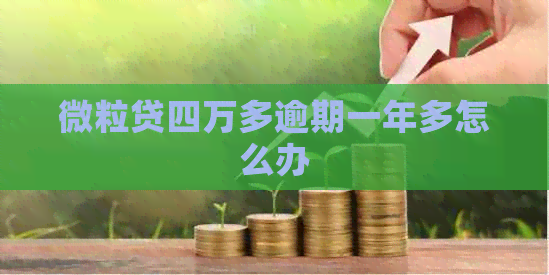 微粒贷四万多逾期一年多怎么办