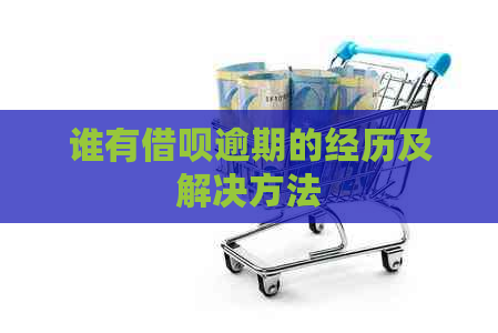谁有借呗逾期的经历及解决方法