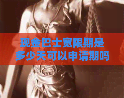 现金巴士宽限期是多少天可以申请期吗