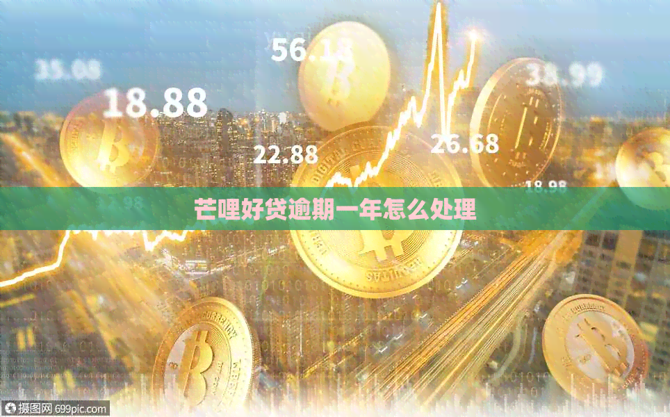 芒哩好贷逾期一年怎么处理