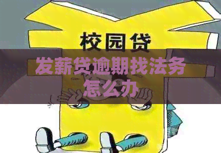 发薪贷逾期找法务怎么办