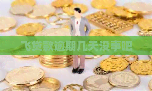 飞贷款逾期几天没事吧