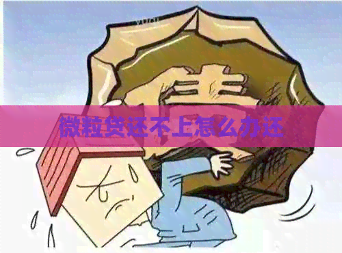 微粒贷还不上怎么办还