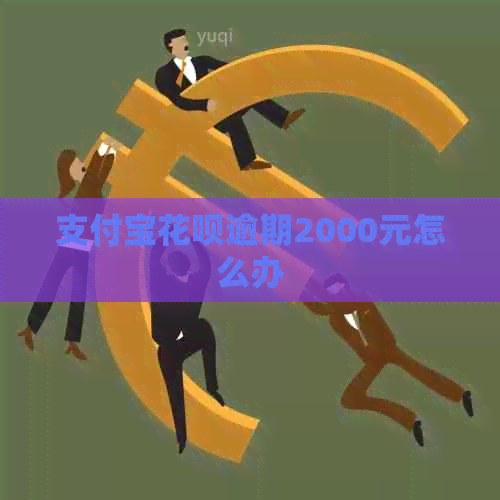 支付宝花呗逾期2000元怎么办