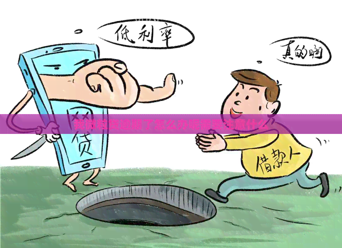 我微粒贷逾期了怎么办呢需要注意什么