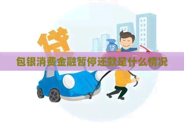 包银消费金融暂停还款是什么情况