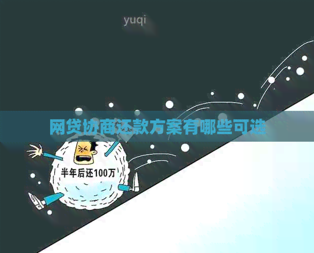 网贷协商还款方案有哪些可选