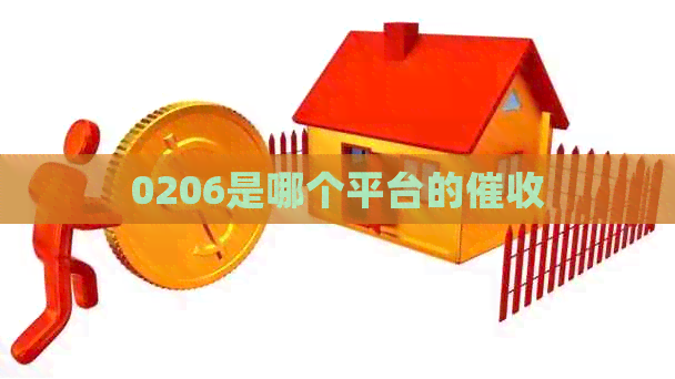 0206是哪个平台的
