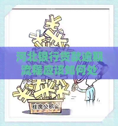 河北银行贷款逾期流程应该如何处理