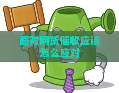 面对网贷应该怎么应对
