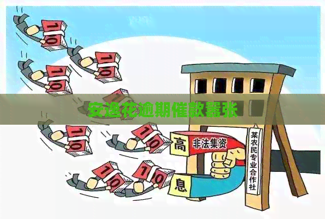 安逸花逾期催款嚣张